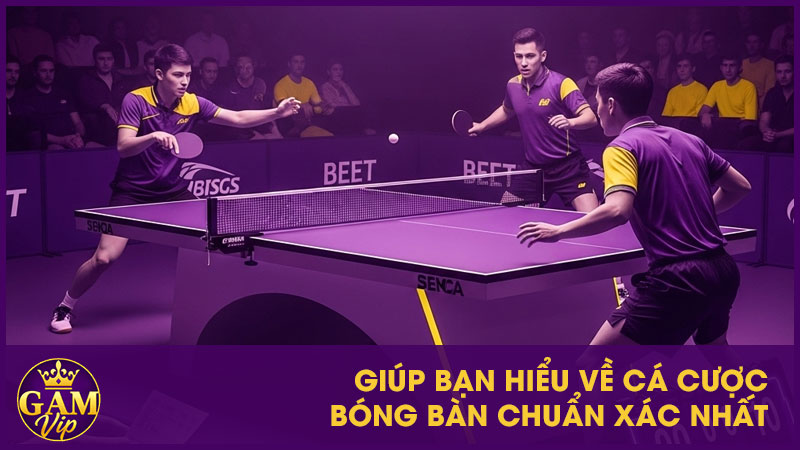 Giúp bạn hiểu về cá cược bóng bàn chuẩn xác nhất