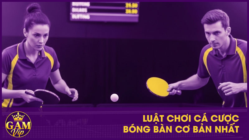 Luật chơi cá cược bóng bàn cơ bản nhất