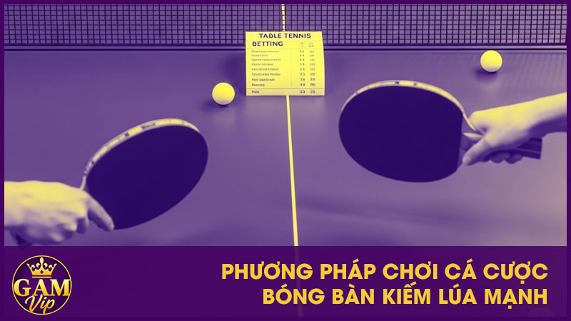 Phương pháp chơi cá cược bóng bàn kiếm lúa mạnh