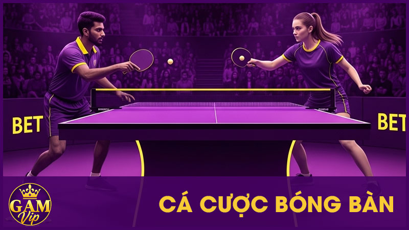 Cá Cược Bóng Bàn: Quy Trình Đặt Cược Và Mẹo Chơi