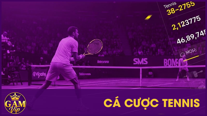 Cá Cược Tennis: Chơi Vui Thưởng Lớn Theo Từng Đường Bóng