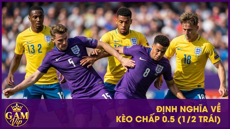 Định nghĩa về kèo chấp 0.5 (1/2 trái)